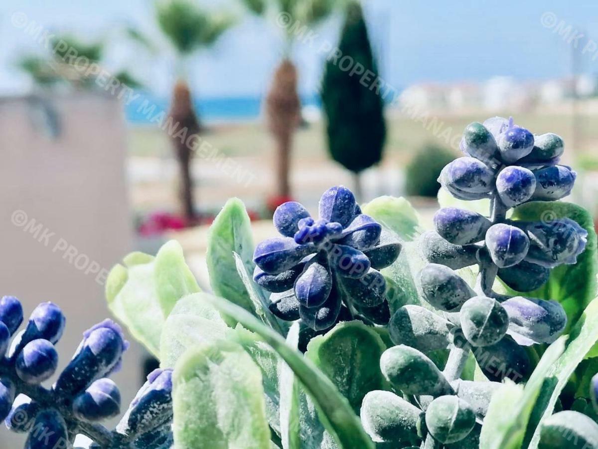 לרנקה Lysia Sea-View Apartment מראה חיצוני תמונה