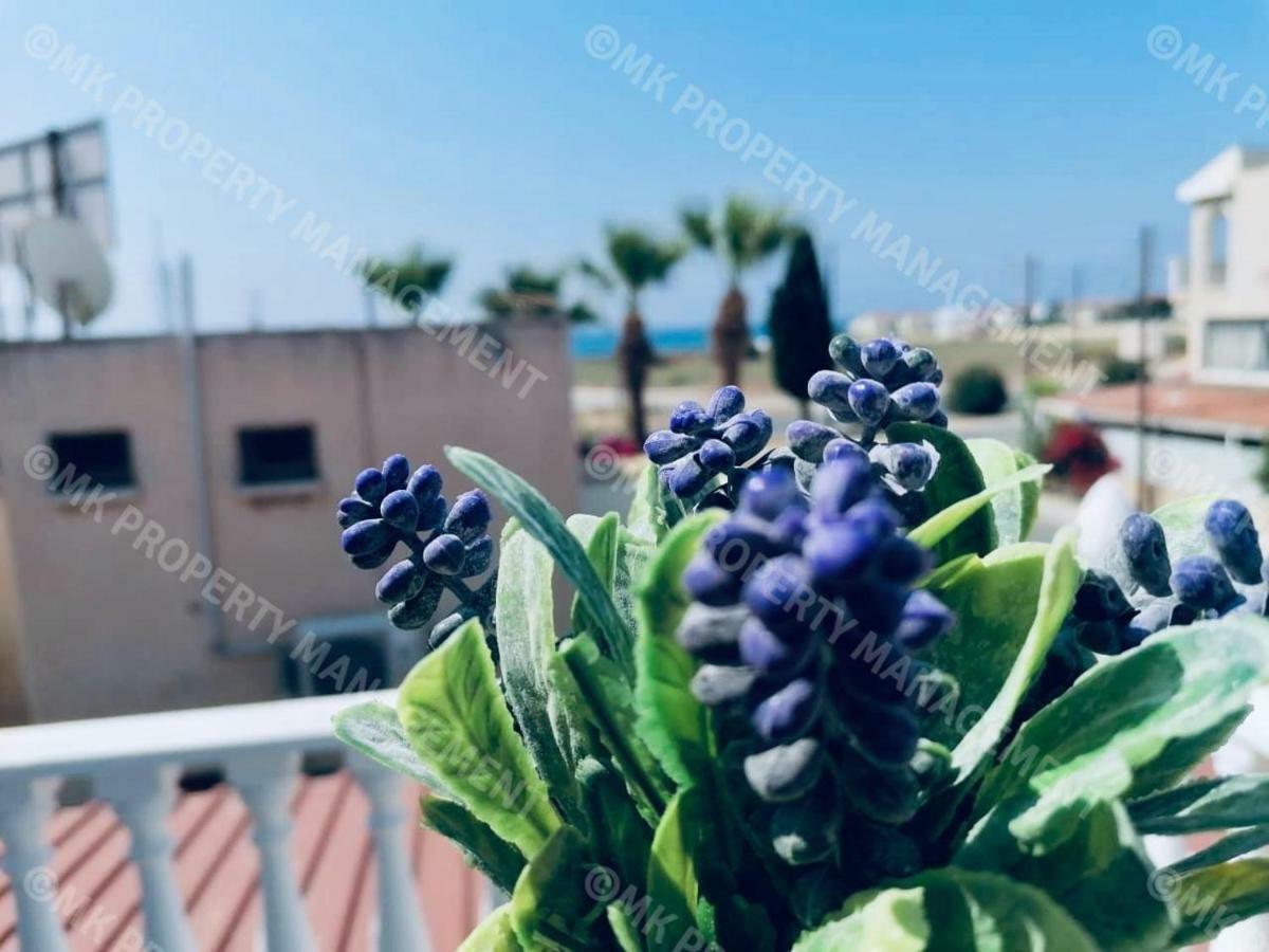 לרנקה Lysia Sea-View Apartment מראה חיצוני תמונה